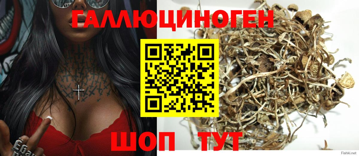 Семилуки  купить наркотик  Вход с VPN  Галлюциногенные грибы GOLDEN TEACHER 